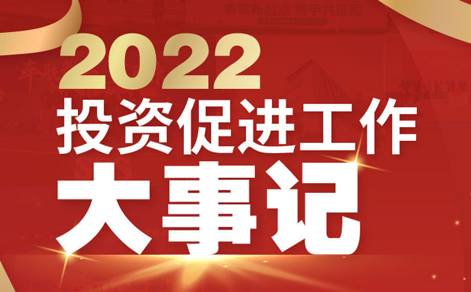 2022投资促进工作大事记